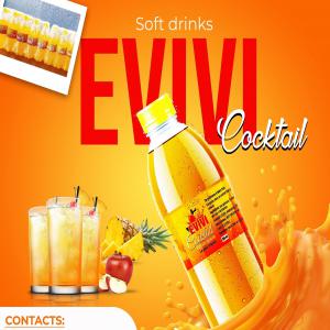  Recherche De Distributeur Exclusif Pour Boisson - boissons non alcolisée nous sommes une entreprise bas&eacute;e au togo. nous sommes dans la production des boissons gazeuses &agrave; base des produits naturels.--actuellement nous disposons de deux produits- evivi cocktail et evivi pomme,  conditionn&eacute;es dans des bouteilles plastiques de 350ml.--le paquet comporte 1