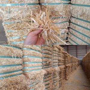  Paille De Blé - aliments pour animaux pr&eacute;alablement s&eacute;lectionn&eacute;e,  st&eacute;rilis&eacute;e,  cribl&eacute;e,  sans--mat&eacute;riaux ind&eacute;sirables tels que pierres ou terre et--libre de tout &eacute;l&eacute;ment &eacute;tranger est l&eacute;g&egrave;rement hach&eacute;e--avec diff&eacute;rents diam&egrave;tres 