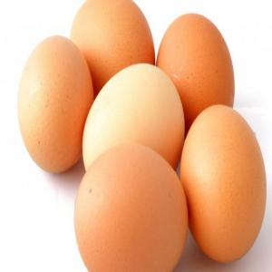  Oeufs Brune Dorigine Polonais - viandes et oeufs nous avons le plaisir de vous proposer notre produit œuf d'origine polonais m size.30 œufs pondus sur peuple de papier moulé.--emballage - 12 plateau emballé dans des cartons d'export solides a 5 plis 360 œufs par carton.--livraison- 1200 cartons dans un conteneur fri