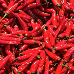  Vente De Piments Long Biologiques - fruits et légumes nous sommes une entreprise agroalimentaire panafricaine commercialisant des produits issus d'agriculture agroécologique.--nous sommes en phase de production du piment long rouge de variété sunny f1(piquant,  bonne odeur,  meilleur conservation). la quantité disponible est d
