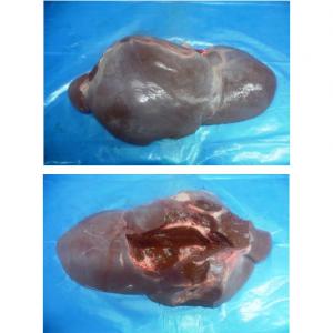  Abats De Boeuf Beef Offals - viandes et oeufs bonjour,  on peut charger de br&eacute;sil vers les pays d'afrique de l'ouest des abats de boeuf diff&eacute;rents (coeurs,  fois,  rognons,  langues) en cfr.--hello,  we sell from brazil to countries of western africa the beef offals (heart,  liver,  kidney,  tongue) en cfr.