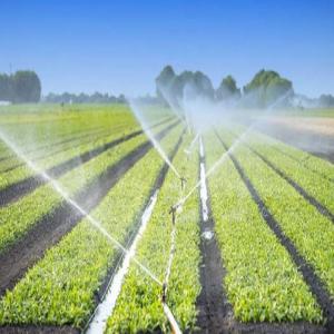  Recherche De Partenaires Agricole - autres bonjour --nous recherchons un partenaire pour un projet agricole.--nous avons plusieurs hectares et voulons developer l'agriculture et souhaitons avoir un partenaire pour nous aidez a le develloper --nos hectares se trouvent en république démocratique du congo c'est un projet soutenue 