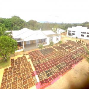  Vanille De Qualité De Madagascar - épices aromates exportateur de vanille de qualité depuis 2011,  notre société est implantée dans la capitale de ce produit que nous commercialisons depuis. nos vanilles préparées dans les meilleures conditions qui soient n'attendent que vos commandes. du gourmet ou noire,  de