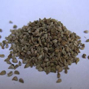  Recherche Fournisseur Grain De Persil Maroc - épices aromates bonjour a tous ,  --nous recherchons fournisseurs direct et sérieux  pour - ---  grain de persil en particulier au maroc --merci de nous envoyer vos meilleurs cotations.--quantité un conteneur 20 pied ! --au plaisir 
