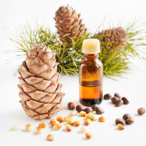  Producteur Recherche Clients Huiles Essentielles - huiles  notre entreprise en cours de création,  nous cherchons des clients d'huile essentielle de cèdre de l'atlas,  huile essentielle carotte et huile essentielle de lavande.----