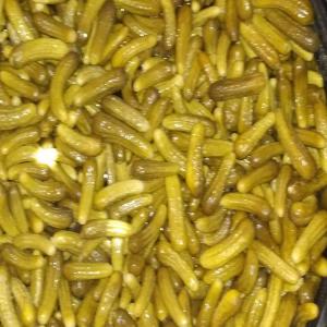  Cornichons Marocain Conserver - conserve semi conserve bonjour,  nous sommes une entreprise  qui cherche a des clients intéressés par notre produit--cornichons (concombre)