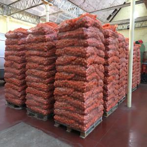  Grains De Soja Certifié Biologique - fruits et légumes nous sommes fournisseurs de produits alimentaire agricole et nous disposons en stock de grande quantit&eacute; de grains de soja certifi&eacute; biologique non-ogm de qualit&eacute; sup&eacute;rieure.----nous avons la capacit&eacute; d'approvisionnement de 950 tonnes/mois.----nos produits sont vendu