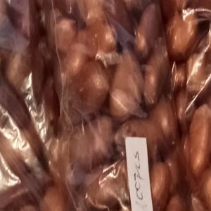  Vends Grains De Rafflesia Manillana - semence graine plant j'offre à ceux que cela intéresse ( laboratoires ou particuliers) des grains de rafflesia manillana d'excellente facture. je suis en mesure de satisfaire meme les demandes d'un nombre élevé de grains ( 4000 à 5000 bimensuellement). le prix,  imbattable,  de l'unit&ea