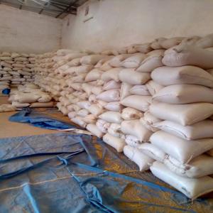  Soja (céréales) - semence graine plant j'ai 700 tonnes de soja au togo au prix de 410fr le kg déjà vanné et stocker dans les sacs de 50kg pret à exporter dans la zone portuaire.