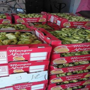  Fournisseur De Piment Frais - fruits et légumes bonjour on est fournisseur de fruits et l&eacute;gumes qui r&eacute;pondent aux normes international den tr&egrave;s bonne qualit&eacute;. n'h&eacute;sitez  pas a nous contacter pour plus d'infos .cordialement