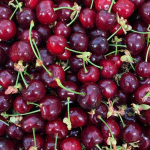  Cerises De Cette Année D'haut Qualité D'algérie - fruits et légumes salut !  nous avons des cerises ( de cette ann&eacute;e) du ouest d'alg&eacute;rie (tlemcen) de grande quantit&eacute; et tr&egrave;s haut qualit&eacute;... vous pouvez nous contacter sur le num&eacute;ro si dessus si vous etes int&eacute;ress&eacute;s.