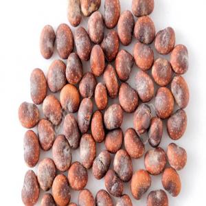  Graines De Corossol.morenga.acacia Mèlifera. - semence graine plant bonjour,  nous sommes au sénégal et  nous vous proposons aujourd'hui des graines de corossol.morenga.acacia melifera.acacia sénégal disponible pour une quantité de 500 kilogrammes( 500kg ) pour chaque espèce à un prix favorable. merci de nous contacter