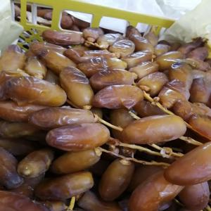 Dattes algérienne deglet nourr  - fruits et légumes bonjour --vente des dattes deglet nourr --disponible en stock 3 tonnes des dattes algérienne deglet nourr 3ardjoun (branché) de haute qualité à tolga la récolte de l'année --conditionnements en palette de 9 kg possibilité de conditionnement selon la d