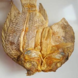  Poissons Bitoyo Et Ndakala - poissons je suis producteur des poissons bitoyo et dankala,  basé en france,  cherchent les acheteur pour mes produits,  quantité limité 