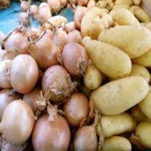  Vente De Pommes De Terre Et Oignons Pour Afrique - fruits et légumes notre soci&eacute;t&eacute; d import/export est bas&eacute;e au maroc depuis cinq ans. elle est sp&eacute;cialis&eacute;e dans la vente de fruits et l&eacute;gumes partout en afrique. aujourd hui nous vous proposons de vous livrer des pommes de terre et des oignons de qualite l&agrave; où vous etes 