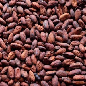  Un Cacao D'exeption - café cacao thé d&eacute;clar&eacute;  label fin  100% par l'organisation internationale du cacao,  les f&egrave;ves de cacao de madagascar sont  m&eacute;lang&eacute;s particuli&egrave;rement.--10% de criollo,  35% de trinitao et 55% de forestao cr&eacute;ent un go&ucirc;t unique en son genre - juste assez acide,  av