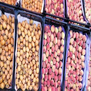  Algérien Abricots, Pêches Et Nèfles De Haute Qua - fruits et légumes bonjour--si vous etes intéressé on peut vous ofrire de abricots et peches de très bonne qualité frais la récolte du jours avec un conditionnement très propre et un prix raisonnable et soyez sûre que la qualité est garantie--de sud de l'alg&eacut