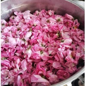  Hydrolats Et Huiles Essentielles Et Végétales) - huiles aromathérapie,  hydrolats et huiles essentielles.--         --  on vous offre une variété de huiles essentielles et végétales et d'hydrats.--les hydrolats - hydrolat de rose,  hydrolat de neroli,   hydrolat de géranium,   hydrolat d'eucalyptus,   hydrolat de roma