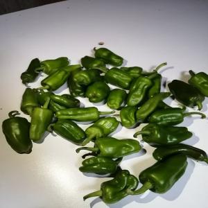  Piment Fort Arabic Algerie Biskra - fruits et légumes algérien piment fort (arabic) de haute qualité --bonjour--de l oasis de biskra algérie--on peut vous ofrire du piment de très bonne qualité frais la récolte du jours avec un prix très raisonnable--la qualité est garantie--des autres fruit et l&