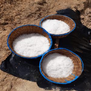  Sel Iodé De Palmarin Facao - épices aromates je suis productrice de sel iodé et présidente de la fédération communale des productrices de sel de palmarin qui travaille sur le sel  dans la région de fatick au sénégal. actuellement nous disposons de 200 tonnes de sel iode en gros de qualité