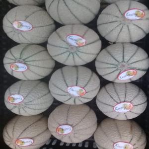  Melon Pastèque ,pèches, Abricot.. - fruits et légumes nous sommes entreprise de distribution de tous produits fruits et légumes,  nous vous proposons plusieurs qualités avec des prix bas contactez nous pour avoir plus des informations. 