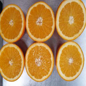  Excellent Orange Origine Maroc - fruits et légumes nous somme exportateur des oranges de taille moyenne à grande,  nos oranges sont disponibles de l'hiver au printemps.--n'hésitez pas à nous contacter