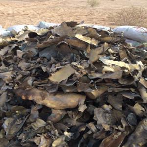  Vente De 100 Tonnes De Laiton - métaux nous avons environ 100 tonnes de laiton à base de douille à vendre de très bonne qualité.--nous pouvons organiser une visite sur notre site ou vous envoyer des photos.