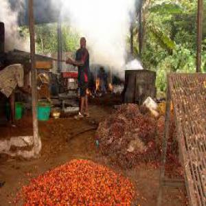  Huile De Palme Usiné Disponible - autres importante quantité d'huile de palme usiné disponible en côte d'ivoire.--contacter nous pour avoir les différents fiches technique du produits  et proposition de prix.