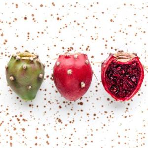 Prickly Pear Seed Oil 100% Bio - olis we`re a japanese raw materials maker company such as moringa,  coconuts oil,  amani oil,  cbd oil,  prickly pear seed oil,  our farms from all over the world (asia ,  north africa,  japan,  europe ,  nz etc..) also we own our own laboratory in hokkaido,  japan ,  we contributed to make a lot of international f