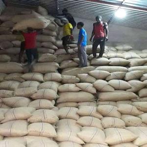  Sénégal G.bissau:vente De 25000t De Noix De Cajou - fruits secs et graines grillées nous recherchons un acheteur de noix de cajou.--**offre de prix*-- *quantités*-- * 25000 tonnes * sur une période de 3 mois-- * qualités / spécifications *---origine- afrique de l'ouest--nombre de noix- 220 noix par kg (max)--tour de sortie- 53 ibs + par 80 kg min)--d&eac