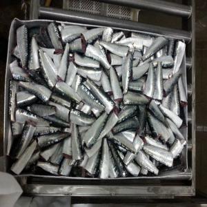  Vente De Sardine D'origine Maroc - poissons nous sommes une société d'exportation de poisson sardine hgt, filet de sardine, macquerel... nous avons augumenter la capacité de production eet nous cherchons des nouveaux clients