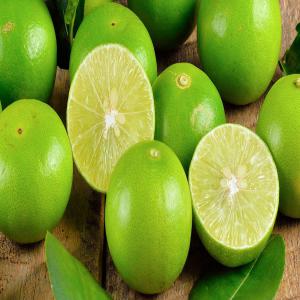  Citron Naturel - fruits et légumes je suis fournisseur du citron naturel bon pour la santé au bénin. .je peux fournir toutes de quantité du citron . contactez moi par mail 