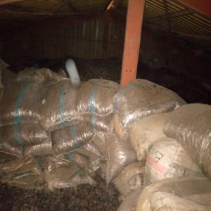 Recherche De Partenaires Pour La Noix De Karité. - matières grasses nous recherchons des partenaires capable de nous accompagner dans la colette et l'achat de la noix de karité sur le terrain.--nous disposons d'une base de données au bénin au togo et au burkina faso et nous souhaitons travailler avec tout partenaire capable de nous accompagner d