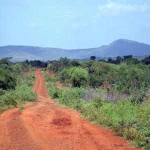  Vente De Terrain Pour Construction - mine terrain concession je vends 6 hectares de terrain (titré et loti) à yaoundé(cameroun) à raison de 10. 000 fcfa/m2 seulement,  le terrain est situé au lieu dit carrefour nkolfoulou(à 1km800)de l'axe principal sur la route de soa. toutes les transactions se passent devant le nota