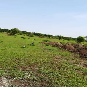  Terre Exploiter - mine terrain concession bonjour,  nous sommes à la recherche d'un partenaire fiable pour l'exploitation de terres riche, situé dans le nord du bénin.d'une superficie de 20 hectares minimum pour une production agriculture à grande échelle.