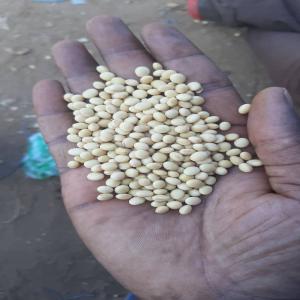  Recherche De Clients - café cacao thé nous sommes une société exportatrice de soja et de noix de cajou basée au bénin. nous recherchons des clients ou des partenaires avec qui nous souhaitons signer des contrats pour la prochaine campagne de commercialisation de soja au bénin. nous sommes disposé