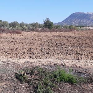  Terrain (terre Fertile) Vendre -tunisie - mine terrain concession a vendre un terrain d'une superficie de 16 hectares doté d'une source d'eau naturelle (accès direct au canal- oued maârouf) et d'électricité,  situé à oueslatia,  kairouan -tunisie (zaghdoud).--atouts- la terre agricole fertile + une agréable vue 