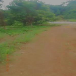  Forêt Vİerge En Vente - mine terrain concession foret vİerge en vente--superficie - 12 hectares --situation g&eacute;ographique - yakass&eacute;m&eacute; en bordure du goudron ( axe abİdjan - yakass&eacute;m&eacute;) --documentation - a.v( attestation vİllageoİse ) --prİx - 2 millions / ha--visite- 10.000f