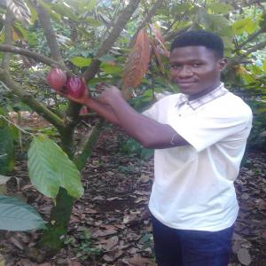  Recherche De Partenaire Ou Investisseurs - café cacao thé mois de juillet ,  début de la campagne cacaoyère , entreprise sarl située au cameroun précisément à douala opère dans l achat et la commercialisation des fèves de cacao . nous commercialisons dans les différents sociétés du 