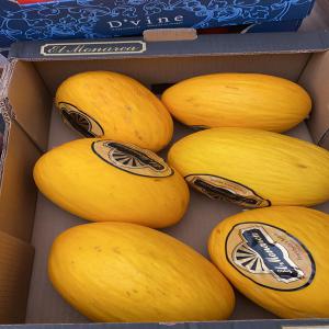  Melon - fruits and vegetables rich in mineral salts,  potassium and calcium,  it eliminates excess water and thus limits swelling. very good quality,  very good service,  very good price.