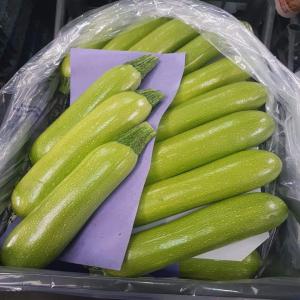  Courgette - fruits et légumes du potassium,  important pour les muscles et pour la pression sanguine, --du manganèse et du cuivre,  qui limitent le stress oxydatif des cellules,  du phosphore,  constitutif des os et des dents, --ainsi que,  en moindre proportion,  du magnésium,  du fer et du calcium.très bonne qualit