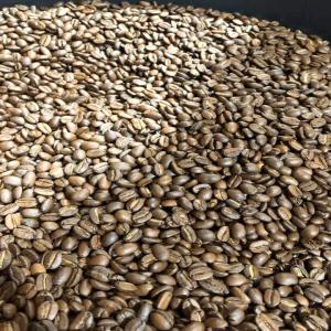  Torrefier Votre Café Grains Vert Moindre Coût - café cacao thé torréfaction du café grain vert arabica ou robusta à  partir de 800fcfa/kg au cameroun--vente aussi du café déjà torréfié arabica et robusta du cameroun pour les intéressés--