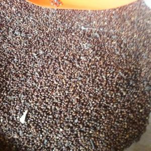  Vente De Maniguette Amandes De Cajou Tout Grade - fruits secs et graines grillées nous sommes une coop&eacute;rative et nous d&eacute;tenons des stocks de maniguette ,  d amandes de cajou tout grades,  noix brutes.