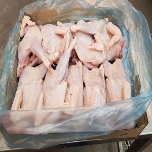  Poules De Lithuanie Pour Les Pays En Afrique - viandes et oeufs bonjour,  nous vendons les poules d environ 1000g nus dans le carton,  9-10 pcs par carton. hello,  we can offer light hens around 1000g naked in a carton 9-10birds.