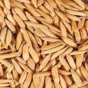  Riz Indiens - céréales nous vous proposons les riz indiens décortiqués ou non haute qualité basmati ou qualité non basmati tell que --ir 64 longue graine blanche ou brun paraboiled,  emballage d'un kg jusqu'au grand sac de 50 kg--prodouits de qualité avec inspection sgs si nécessai
