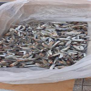  25 Tons Of Blue Crab Claw - crustacean shell we have a quantity of 25 tons of blue crab claw of tunisian origin ready to be exported.--packaging 8 kg and 11 kg.--if you are interested do not hesitate to contact us to receive photos,  videos of our product and the fob price.--note that- the product is now in our depot at the governorate of sfax 