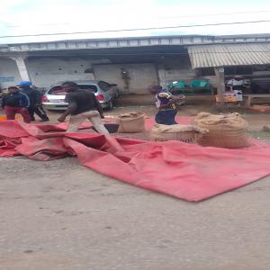  Cacao Café Grande 1.(1000tonnes Par Ans) Selon La - café cacao thé bonjour je chercher des partenaires  d'affaires qui desir faire les affaires et investir en afrique plus précisément au cameroun.je faire la collecte des cacao et café.besoin d'un financement pour élargir le projet et le mettre à l'échelle internationale.--