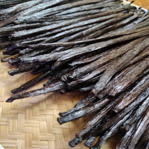  Vanille Planifolia Et Tahitienne - épices aromates vanille planifolia ou tahitienne de bonne qualite,  grade a en provenance d'indonesie.--prix au kilo--