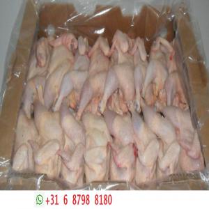  Halal Frozen Whole Chicken - meat and eggs we offer the best quality whole frozen chicken at highly competitive prices. the halal whole frozen chicken has been widely demanded across the global markets and we cater to the demand with ease. the highly nutritious whole frozen chicken can be provided in bulk quantities on a timely basis.---- --