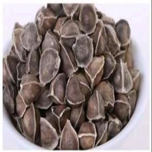  Grain De Moringa Séché En Quantité Considérable - semence graine plant nous mettons en vente les grains de moringa séchés d'une qualité considérable. --si besoin veuillez nous contacter par e-mail.--